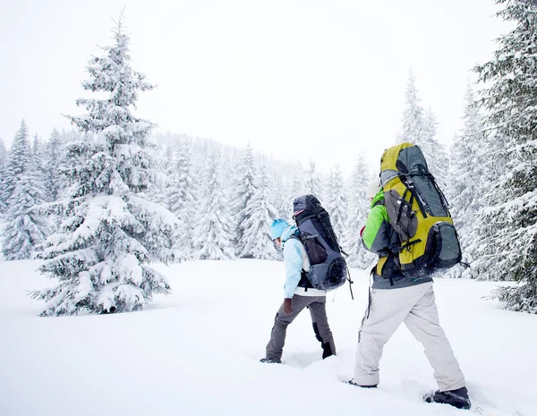 Vandrare i skogen vinter — Stockfoto