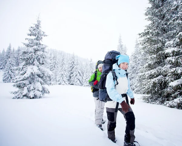 Vandrare i skogen vinter — Stockfoto