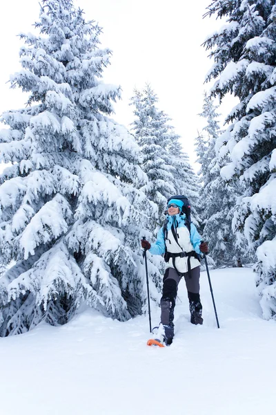 Wandelaar wandelingen in sneeuw bos — Stockfoto