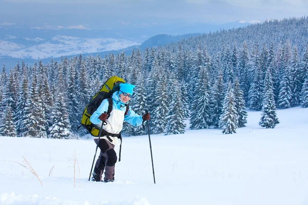Wanderer wandert im verschneiten Wald — Stockfoto