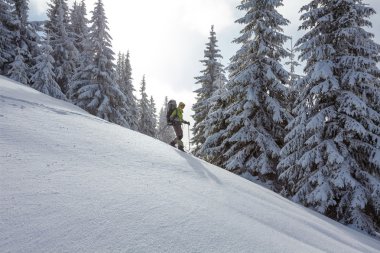 Backpacker kadın kışın ormanda yürüyor