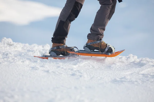 Snowshoeing em montanhas dos Cárpatos no inverno — Fotografia de Stock