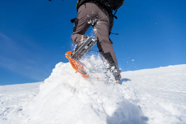 Snowshoeing em montanhas dos Cárpatos no inverno — Fotografia de Stock