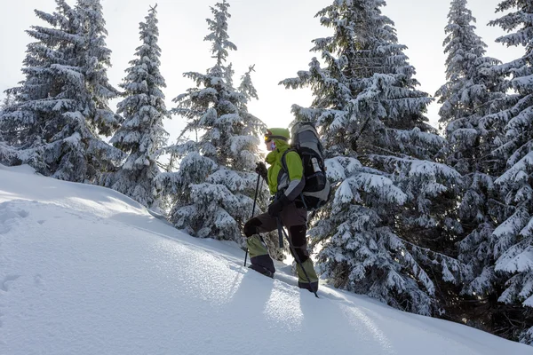 バックパッカーの女性は冬の森を歩く — ストック写真