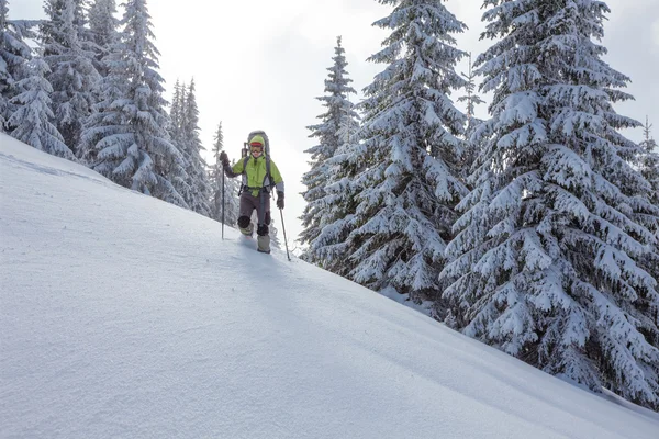 Mochilero mujer está caminando en el bosque en invierno — Foto de Stock