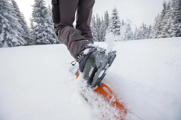 Snowshoeing em montanhas dos Cárpatos no inverno — Fotografia de Stock