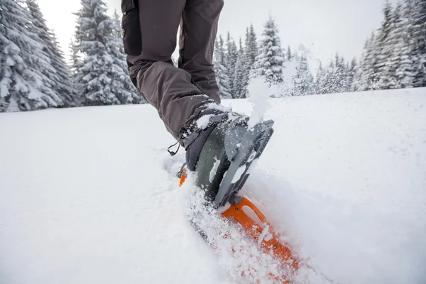 Raquetas de nieve en las montañas de los Cárpatos en invierno — Foto de Stock