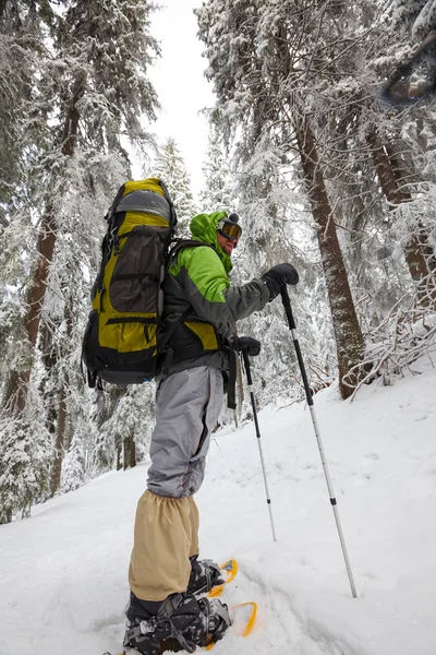 Raquetas de nieve en las montañas de los Cárpatos en invierno —  Fotos de Stock