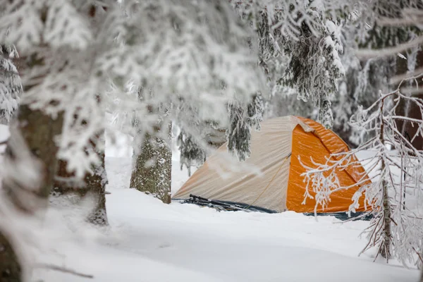 Orange tent in winter forest — Stock Photo, Image