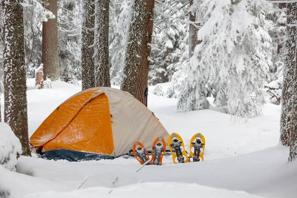 겨울 숲에서 주황색 텐트 앞 왼쪽 풀어요 — 스톡 사진