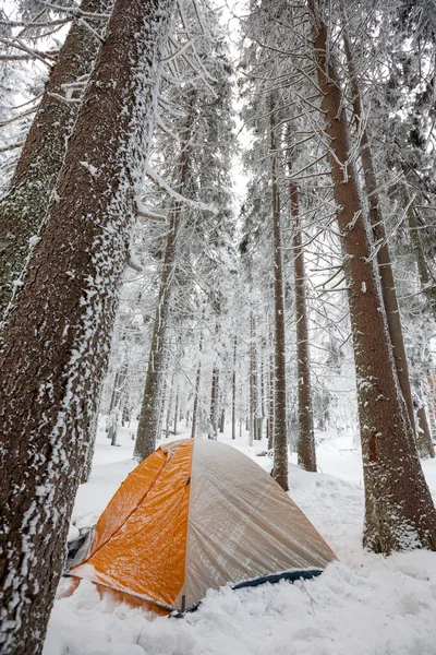Orange tent in winter forest — Stock Photo, Image