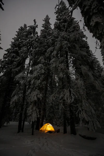 Апельсиновая палатка в зимнем лесу ночью — стоковое фото