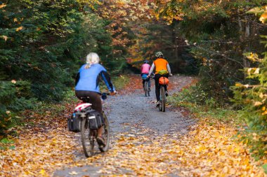 Dağ bisikletçinin sonbahar ormandaki