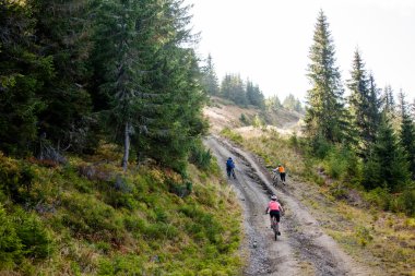 Bisikletçileri sonbahar orman zor koşullarda seyahat