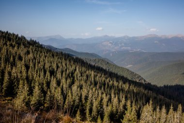 Sonbaharın güzel Karpat Dağları