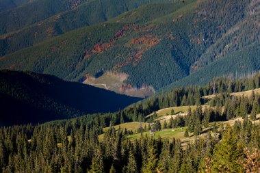 Sonbaharın güzel Karpat Dağları