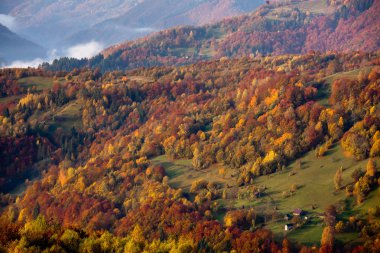 Sonbaharın güzel Karpat Dağları