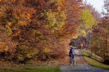 Dağ bisikletçinin sonbahar ormandaki