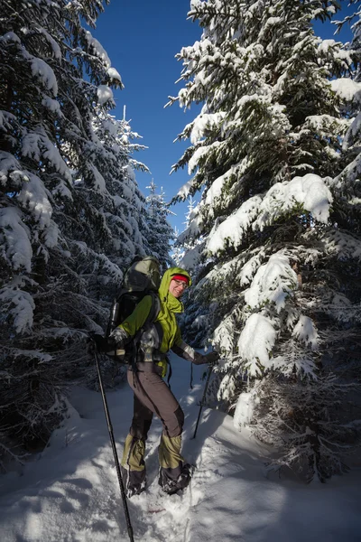 Mochilero mujer está caminando en el bosque en invierno — Foto de Stock