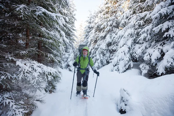 Mochilero mujer está caminando en el bosque en invierno —  Fotos de Stock