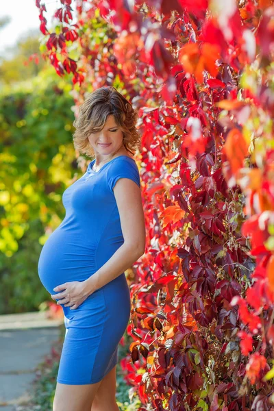 Mulher grávida — Fotografia de Stock