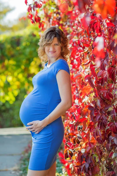 임신 여성 — 스톡 사진