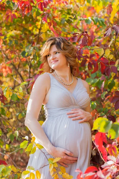 Pregnant female — Stock Photo, Image