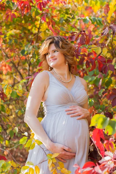 Femme enceinte — Photo