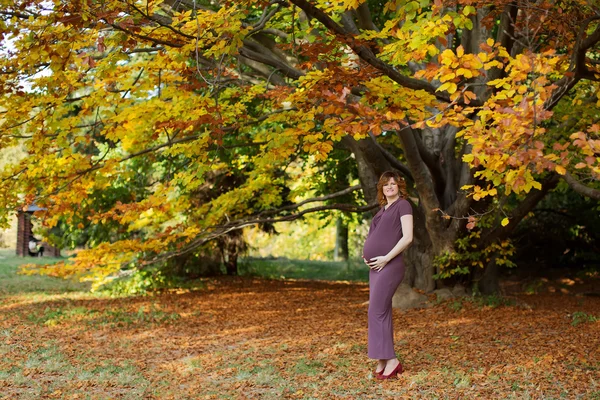 गर्भवती महिला — स्टॉक फोटो, इमेज