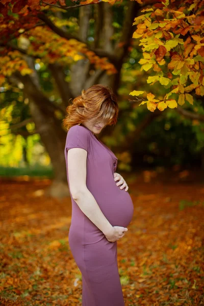 Femmina incinta — Foto Stock