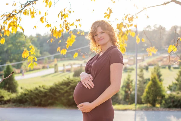 Femmina incinta — Foto Stock