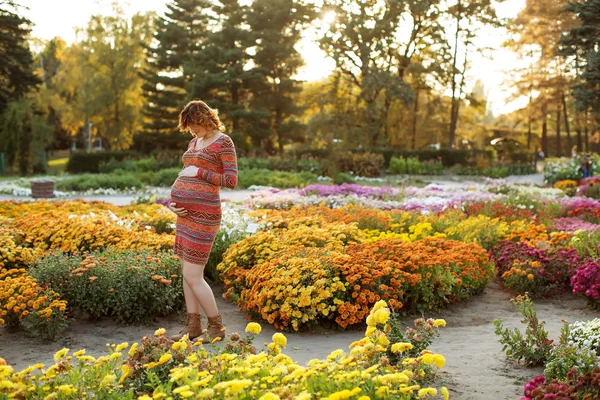 Pregnant female — Stock Photo, Image