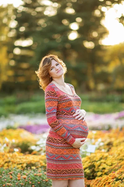 Femmina incinta — Foto Stock