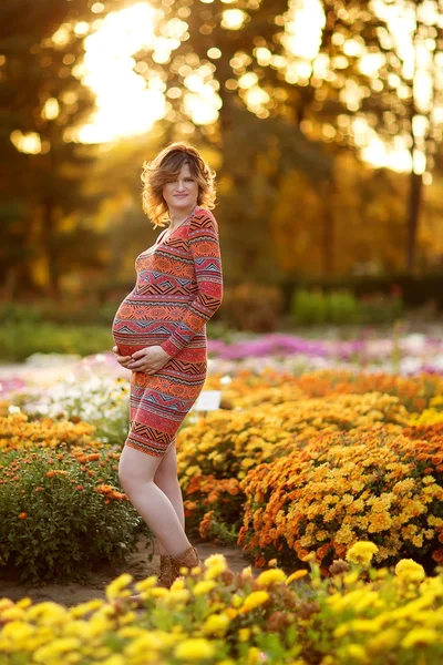 Mujer embarazada. —  Fotos de Stock