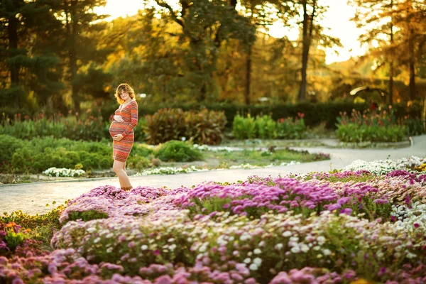 Zwangere vrouw — Stockfoto