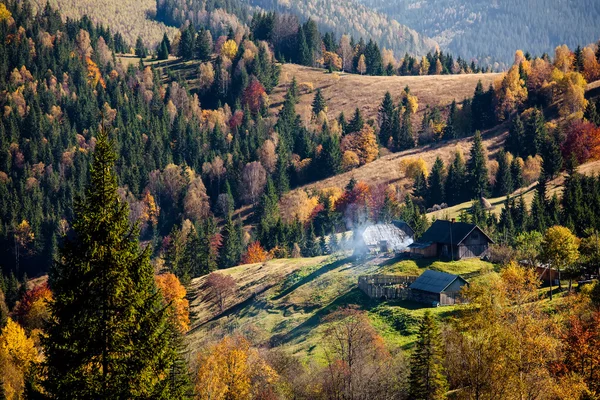 Pequena aldeia no outono montanhas dos Cárpatos — Fotografia de Stock