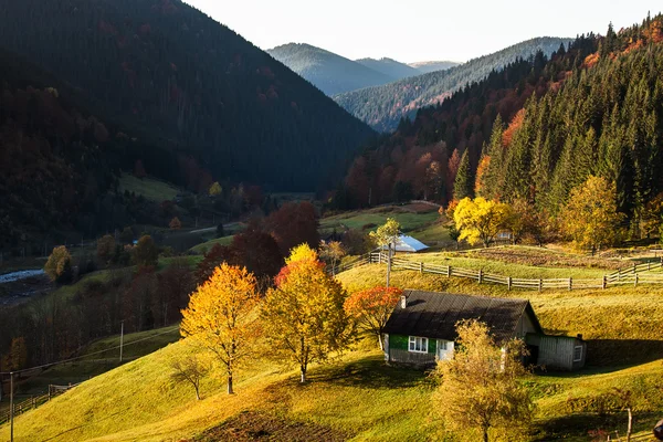 Kleines Dorf in den herbstlichen Karpaten — Stockfoto