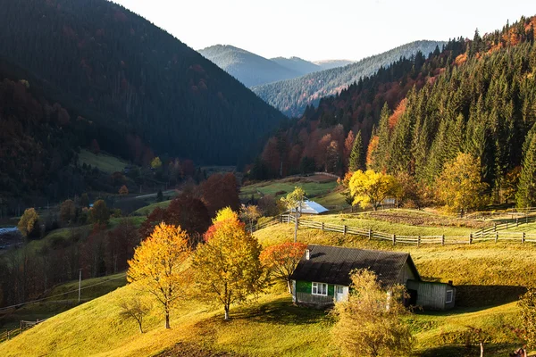 Petit village en automne Carpates — Photo