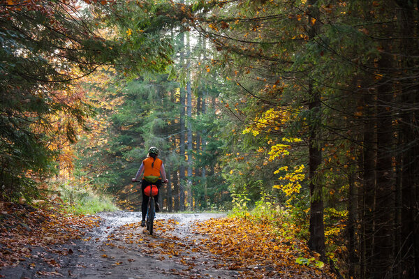 Mountain biker in autumn forest