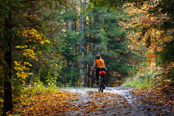 Mountain biker in autumn forest
