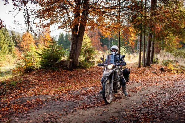 Motorbiker w jesień las — Zdjęcie stockowe