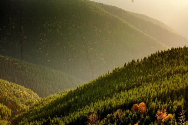 美丽的喀尔巴阡山脉，在秋天 — 图库照片
