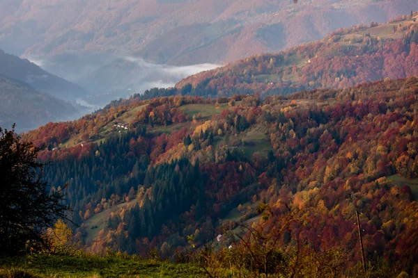 Belles montagnes des Carpates en automne — Photo