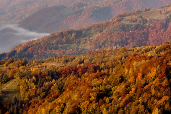 Hermosas montañas Cárpatos en otoño — Foto de Stock