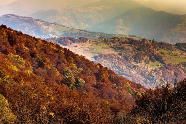 Belle montagne dei Carpazi in autunno — Foto Stock