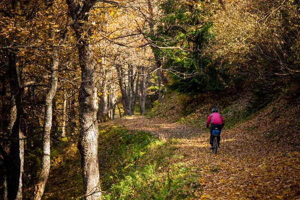 Mountain biker in autumn forest — Stock Photo, Image