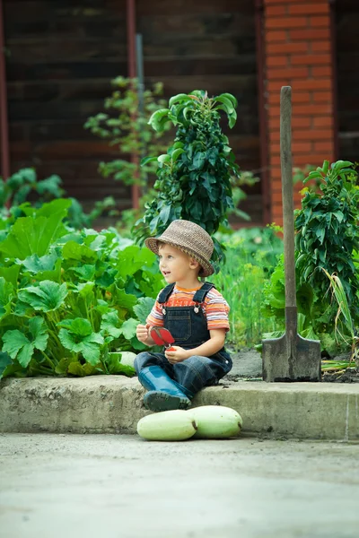 Portrait of a boy working in the garden in holiday — Stock Photo, Image