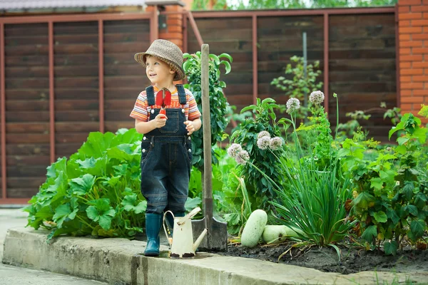 Portrait of a boy working in the garden in holiday — Stock Photo, Image