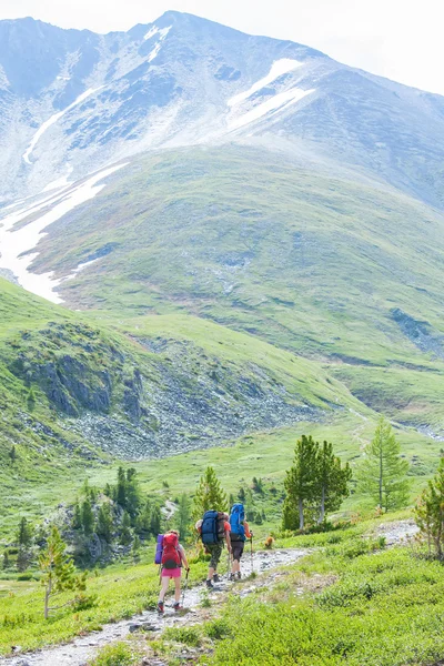 Senderista en las montañas Altai — Foto de Stock