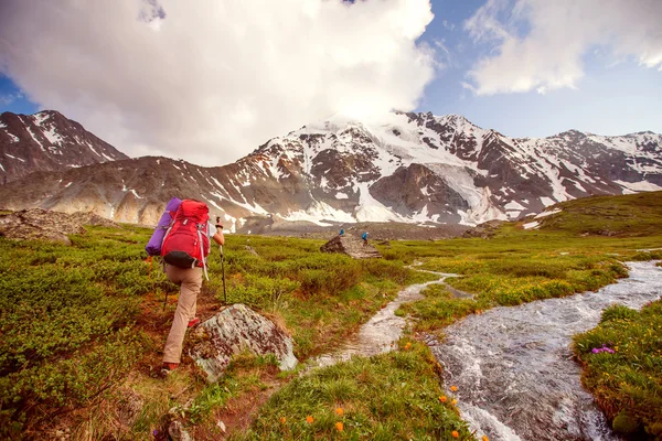 Uzun yürüyüşe çıkan kimse Altay Dağları, Rusya Federasyonu — Stok fotoğraf